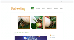 Desktop Screenshot of beepeeking.com